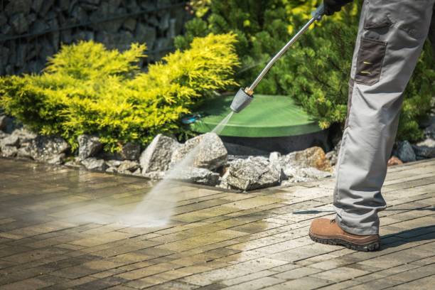 Best Pool Deck Cleaning  in Cheval, FL