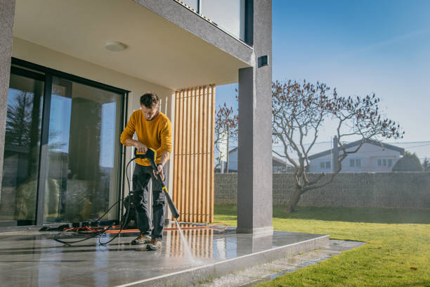 Best Solar Panel Cleaning  in Cheval, FL
