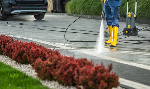 Best Patio and Deck Pressure Washing  in Cheval, FL