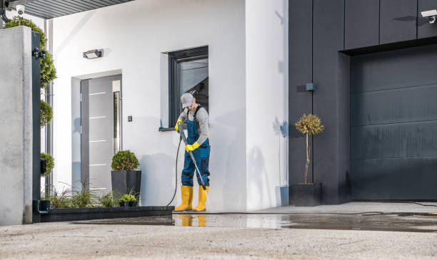 Best Roof Washing  in Cheval, FL